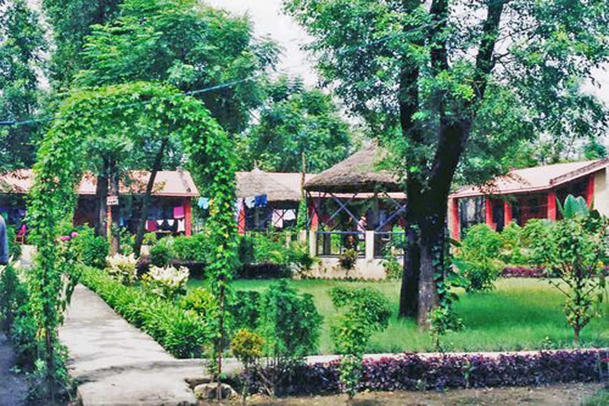 Rainbow Safari Resort Sauraha Exteriér fotografie