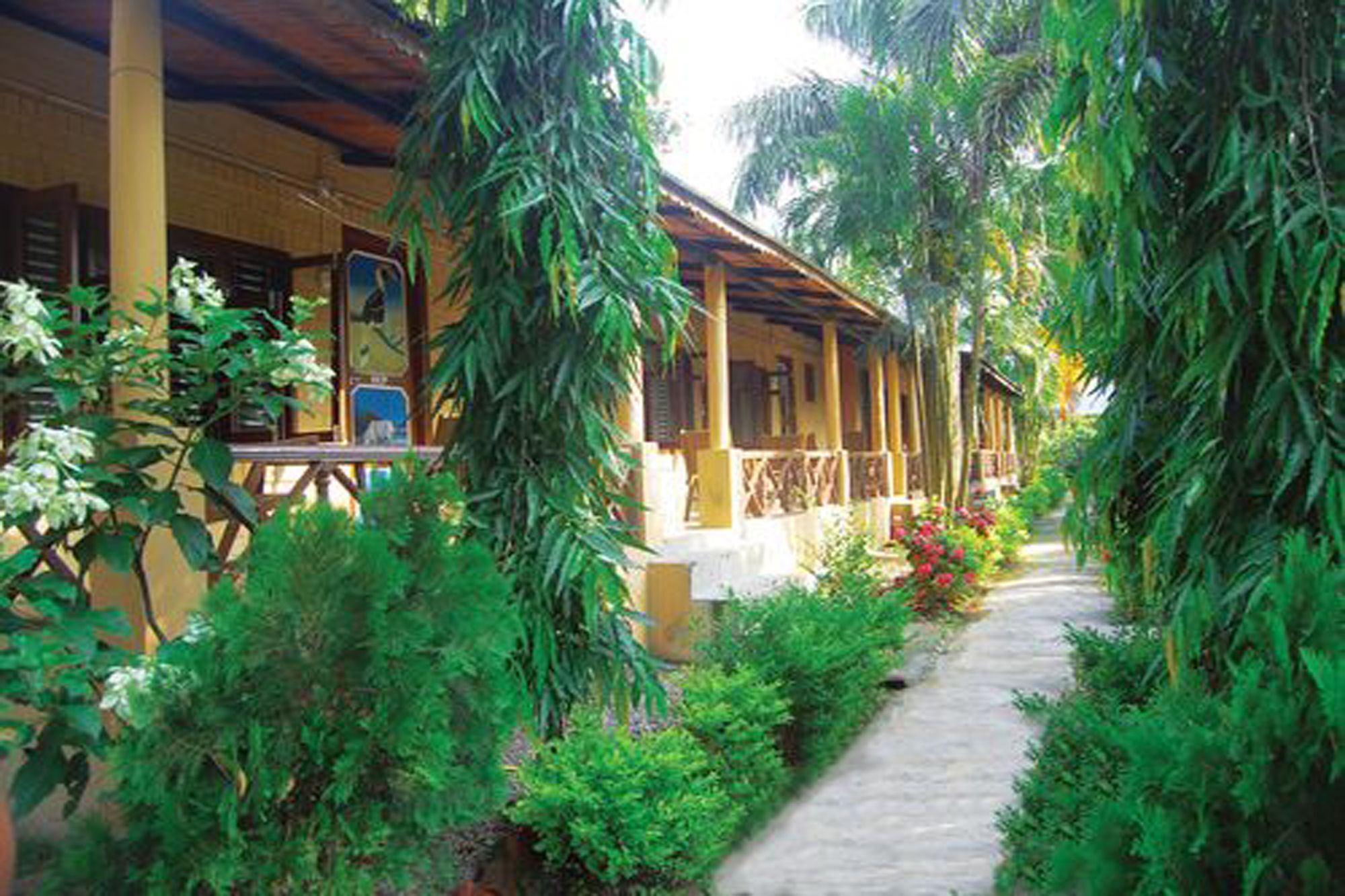 Rainbow Safari Resort Sauraha Exteriér fotografie